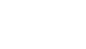 ram solutions mexico logo white